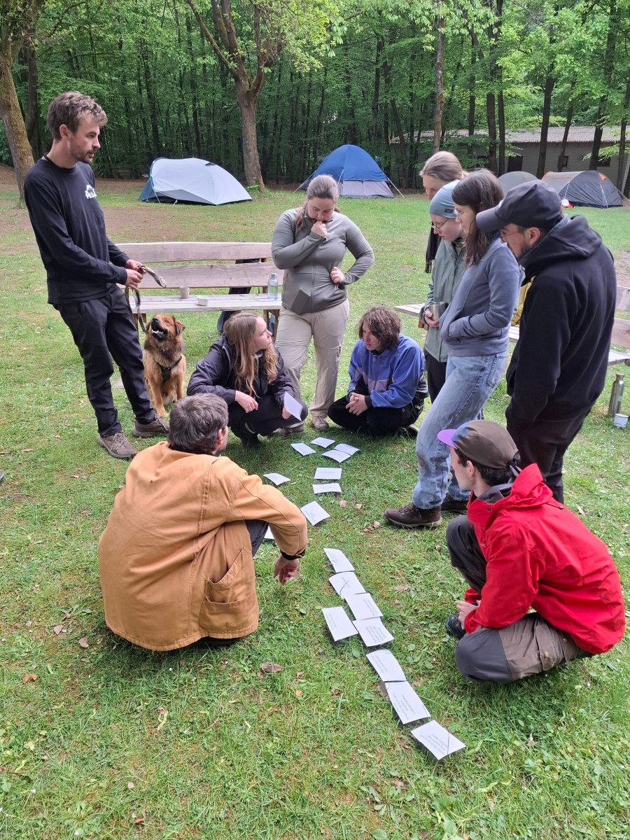 WFA 1 - Essential: Outdoor-Erste-Hilfe-Kurs 10.-11.10.2026 in Harra, Thüringen - Prämiere! - Hinterlandmedics