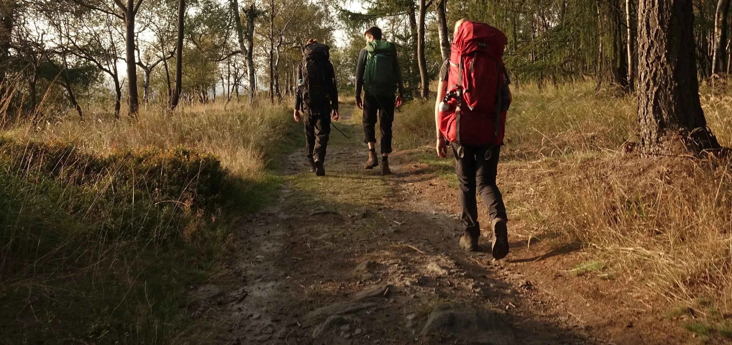 Outdoor Szene im Wald